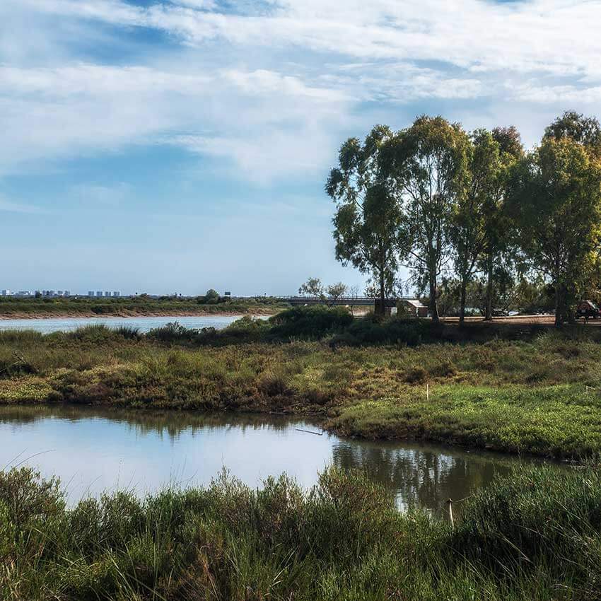 marshes-in-huelva(1)