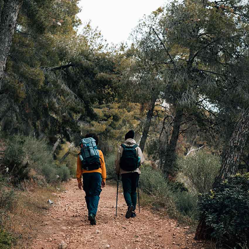 rear-view-of-hiker-walking-on-trail-in-the-forest
